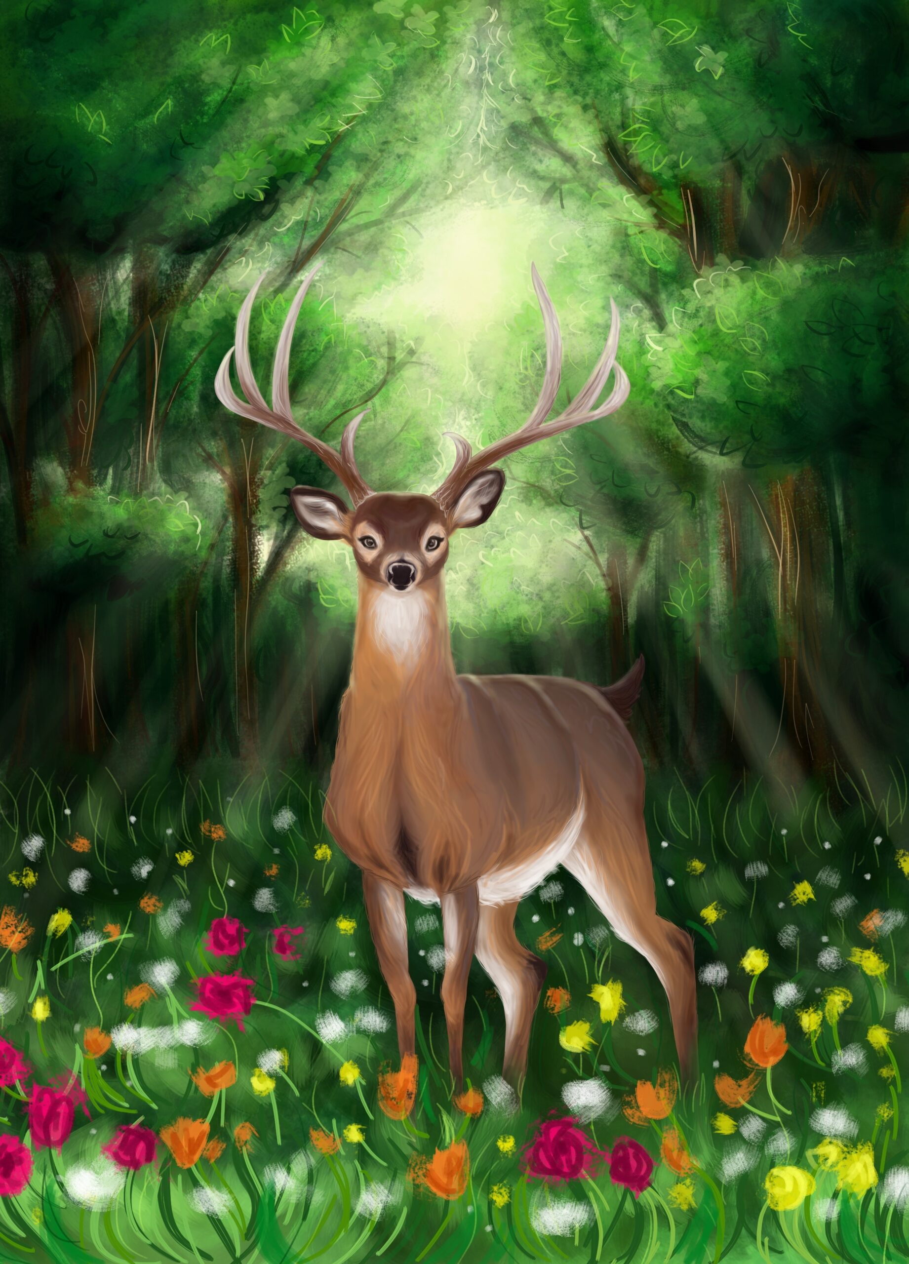 Deer in the Forest - Illustration