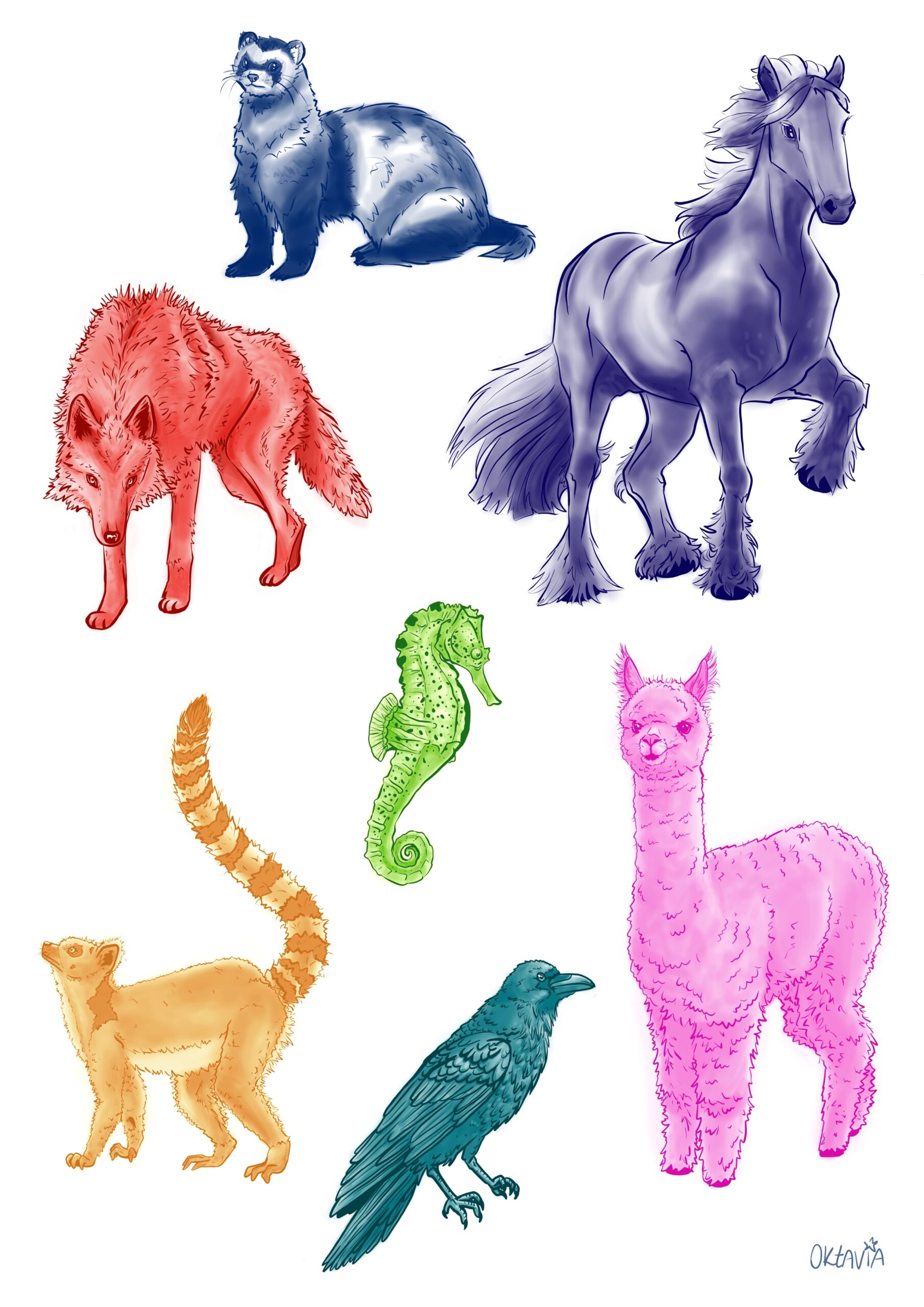 Animal Collection Practice