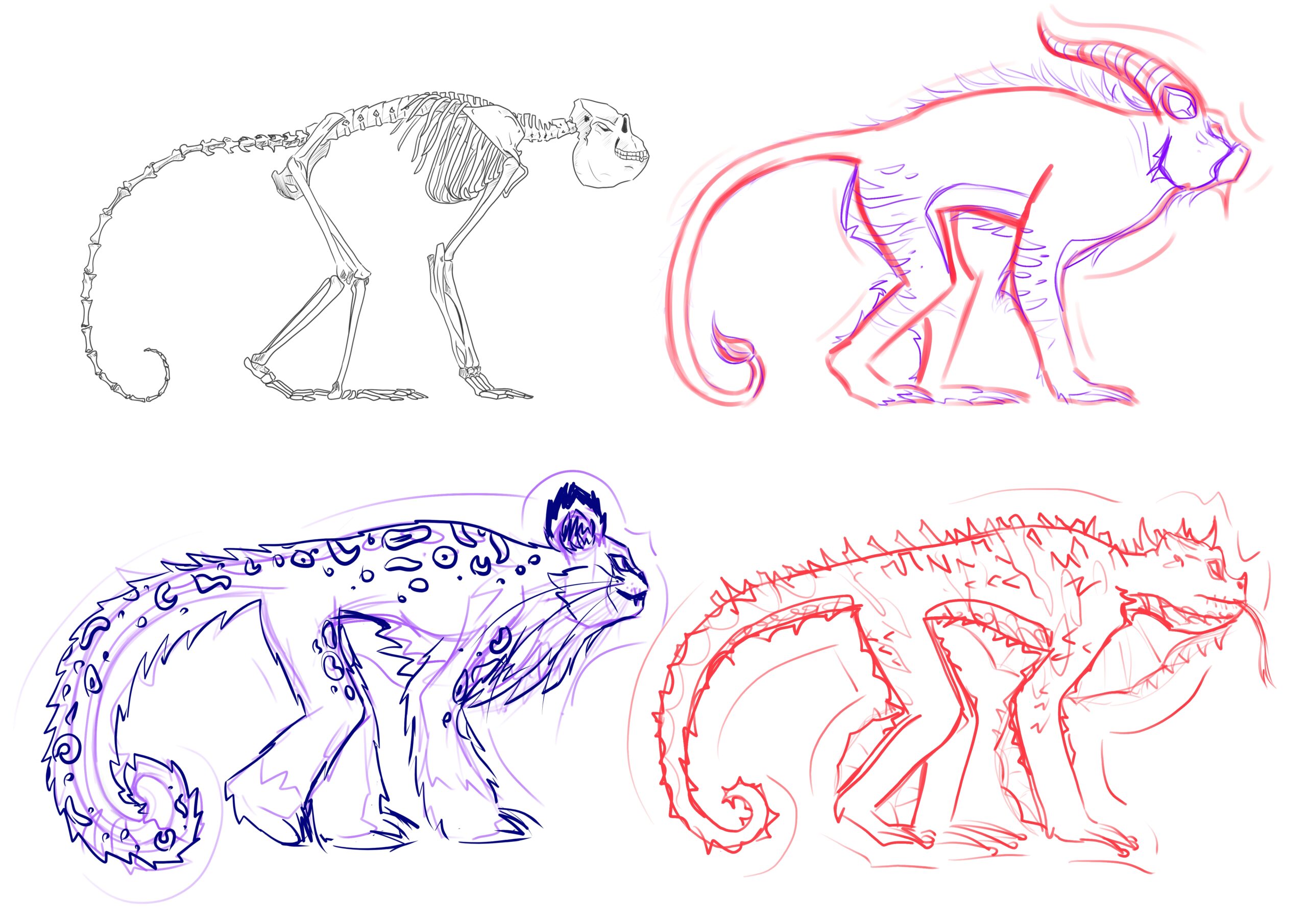 The sketch of these creatures.